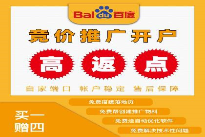 SEM代理服务：提升广告投放效果